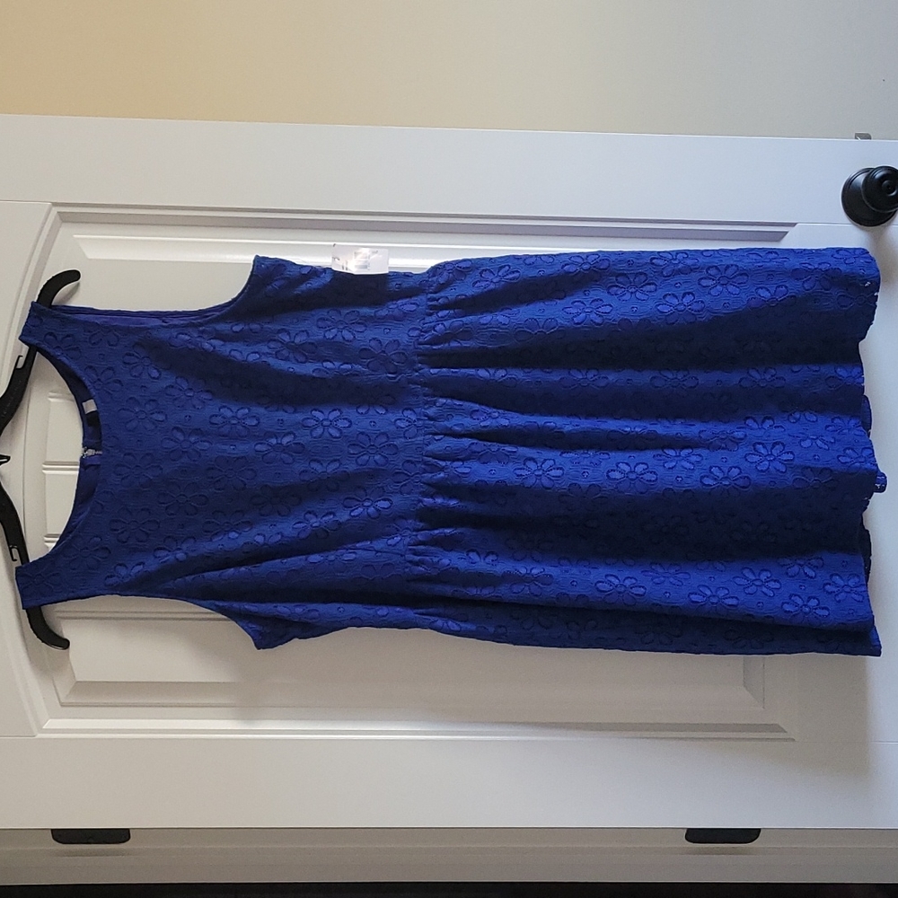 Kensie Eyelit Blue Dress